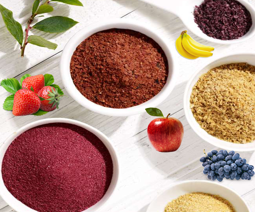Spray Dried Fruit Powders